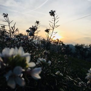 Meet your Posher, Bella